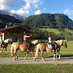 Heisshof Guest house Schladming