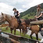 Heisshof Schladming
