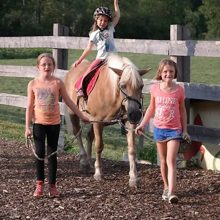 Heisshof Penzion Schladming