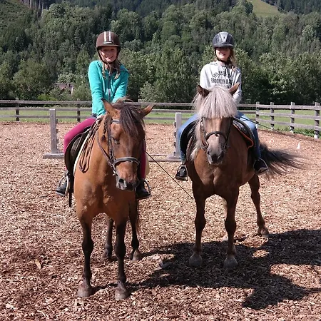 Heisshof Penzion Schladming