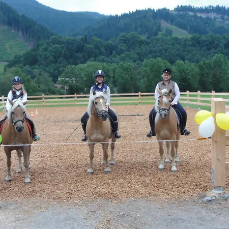 Penzion Heisshof Schladming