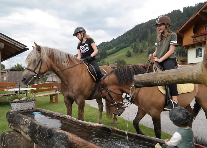 Heisshof سخلادميخ